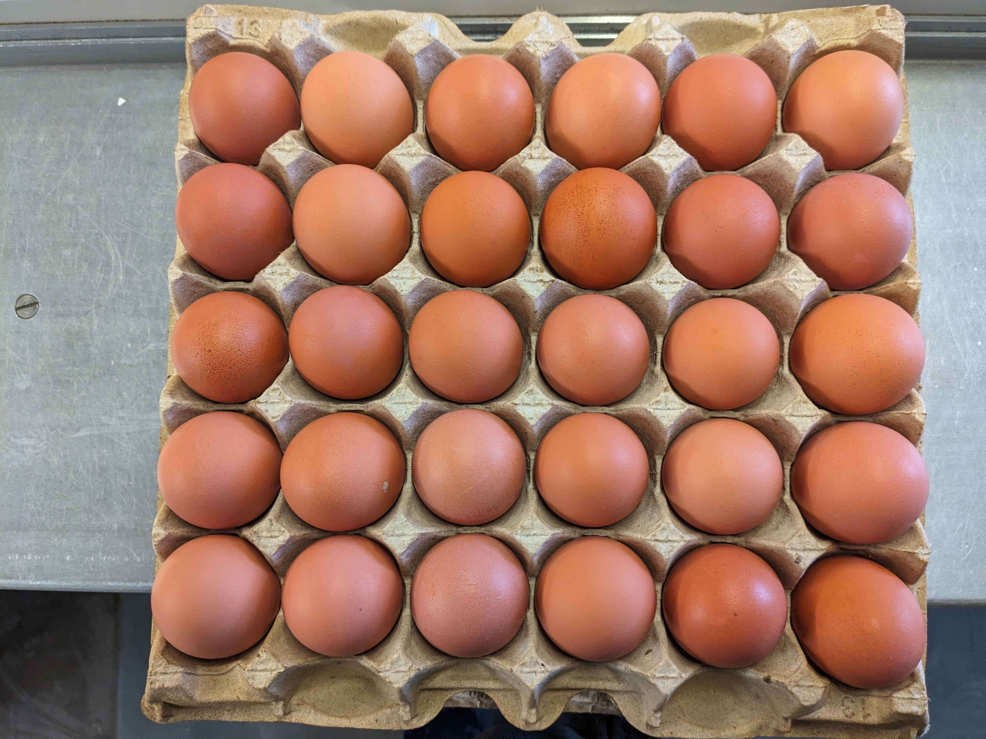 Eggs